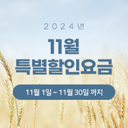 2024년 11월 특별할인요금